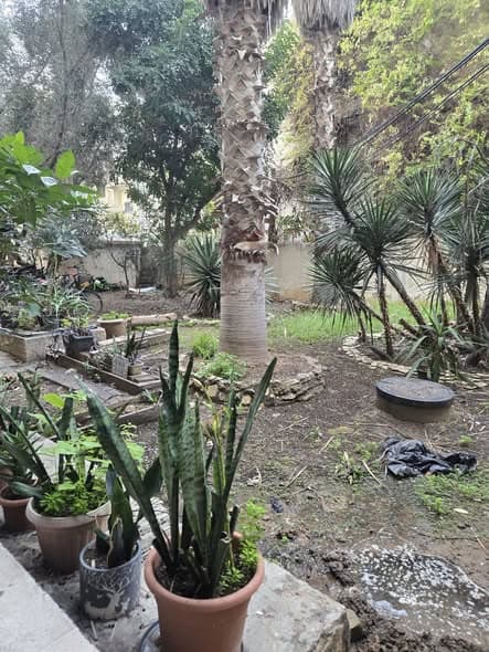 1 room rental in Jaffa