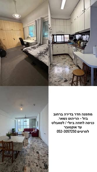 3 room rental in Old North - Photo 1