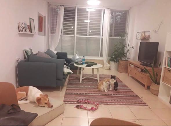 3 room rental in Old North - Photo 3