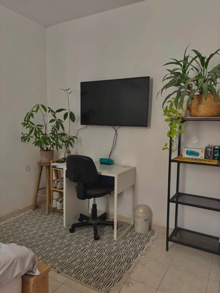 3 room rental in Old North - Photo 1