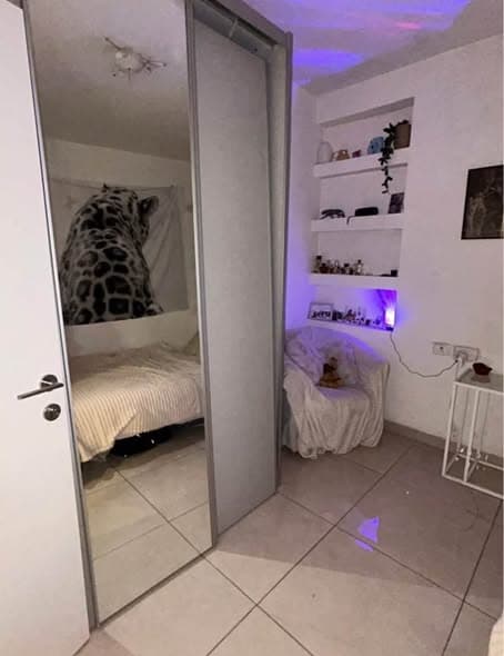 1 room rental in Florentin