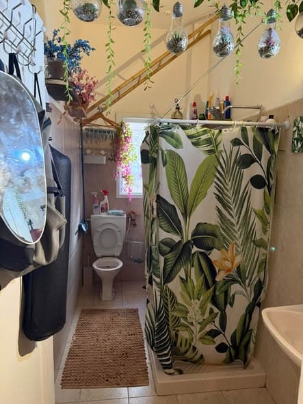 1 room rental in Lev HaIr