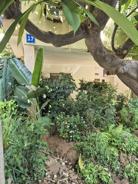 2 room rental in Old North