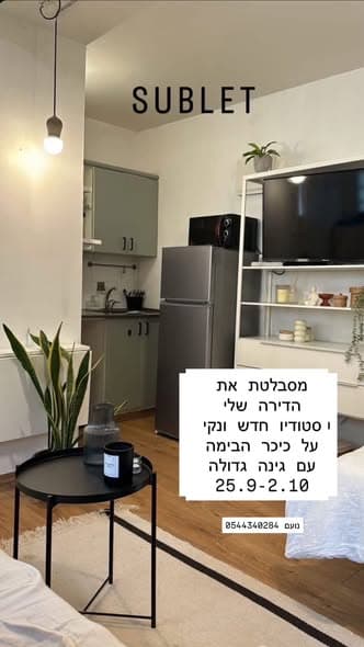 1 room rental in Lev HaIr