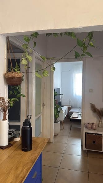 3.5 room rental in Old North