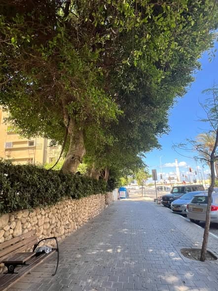 5 room rental in Old North
