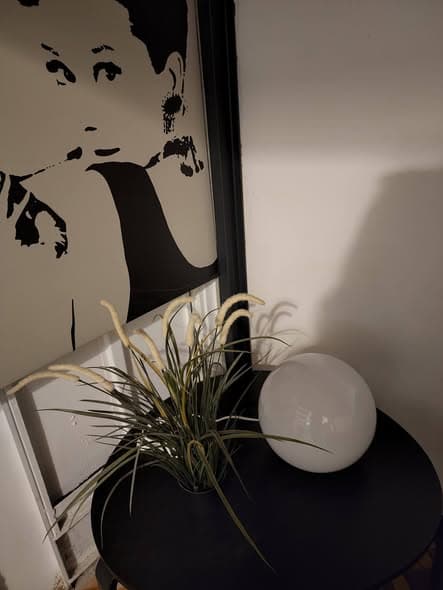 1 room rental in Florentin - Photo 3