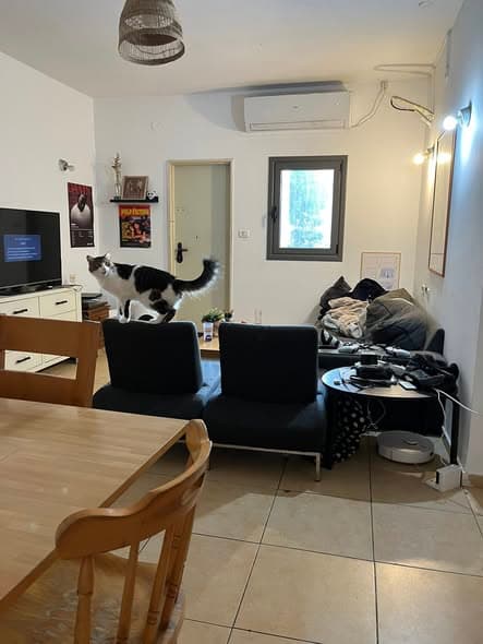 4 room rental in Florentin