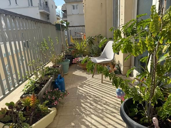4 room rental in Jaffa