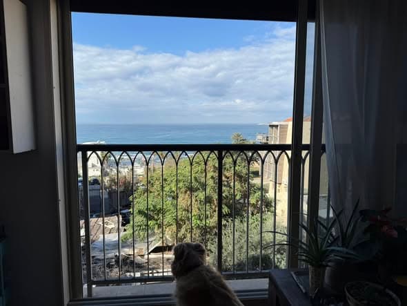 4 room rental in Jaffa