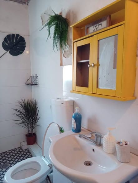 5 room rental in Florentin