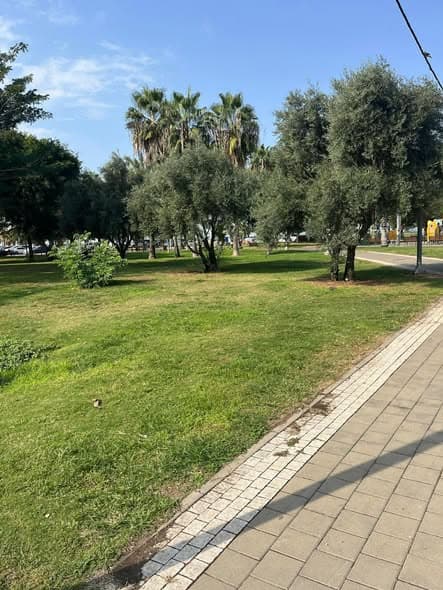 2 room rental in Neve Tzedek