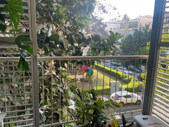 2.5 room rental in Old North - Photo 3