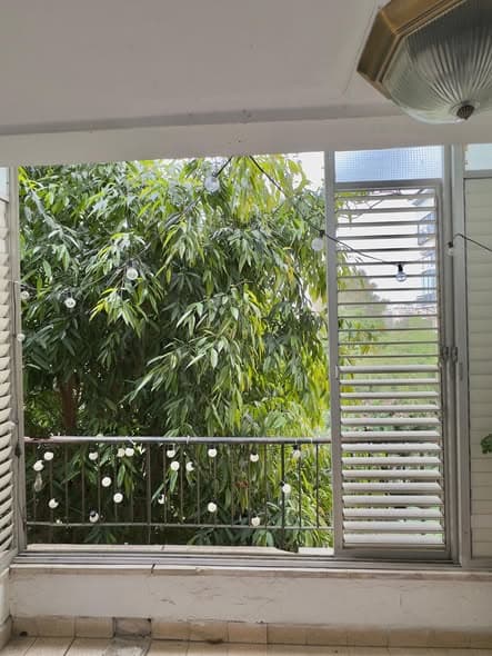 2.5 room rental in Old North - Photo 1