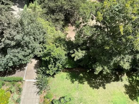 4.5 room rental in Old North - Photo 1