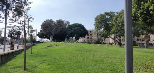 3 room rental in Jaffa - Photo 1