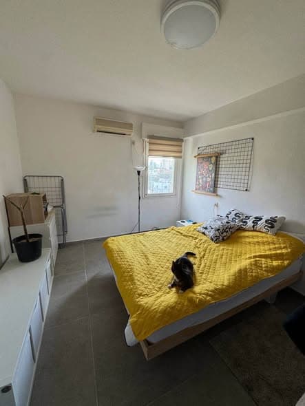 3 room rental in Jaffa - Photo 2