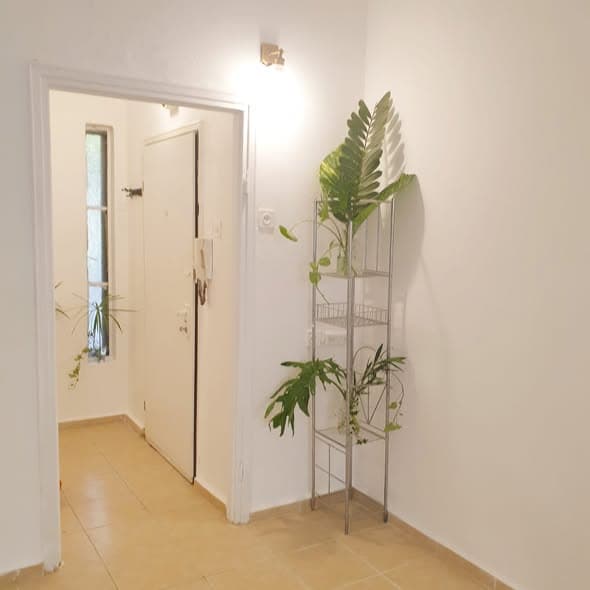 1.5 room rental in Old North - Photo 4