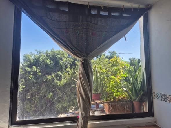 1 room rental in Jaffa - Photo 2