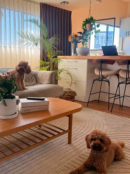 2 room rental in Florentin - Photo 4