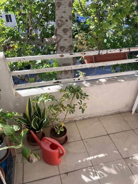 1 room rental in Florentin - Photo 4