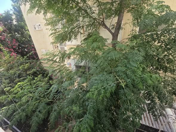 1 room rental in Old North