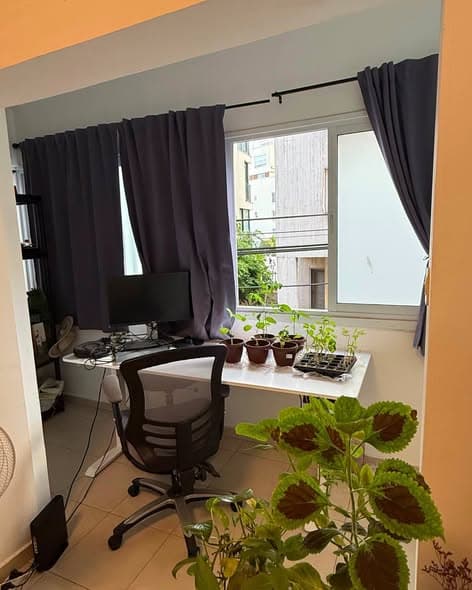 2 room rental in Old North