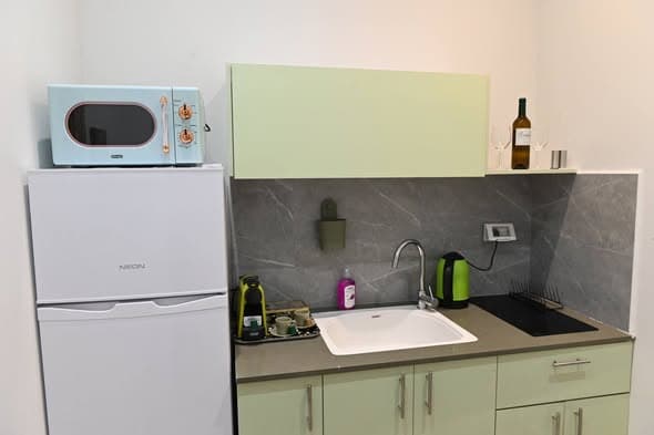 1 room rental in Florentin