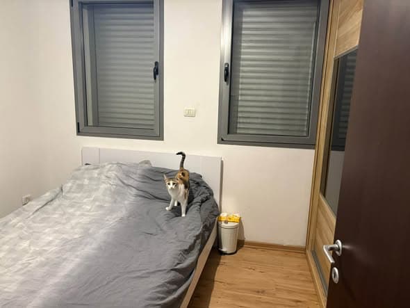 2 room rental in Old North - Photo 1
