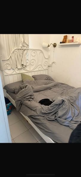 1.5 room rental in Old North - Photo 4