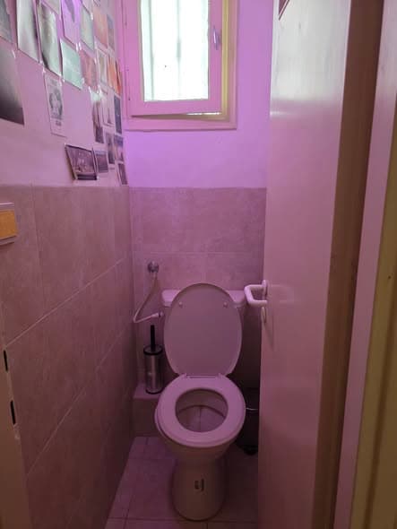 1 room rental in Old North