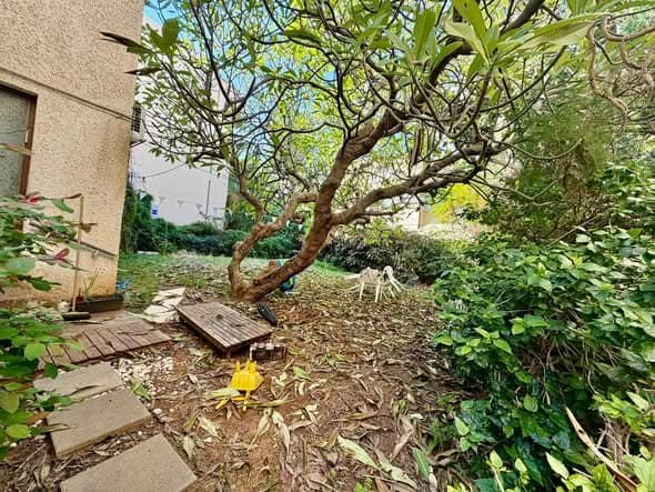 6 room rental in Old North
