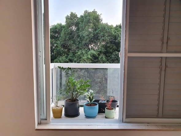 3 room rental in Ramat Aviv