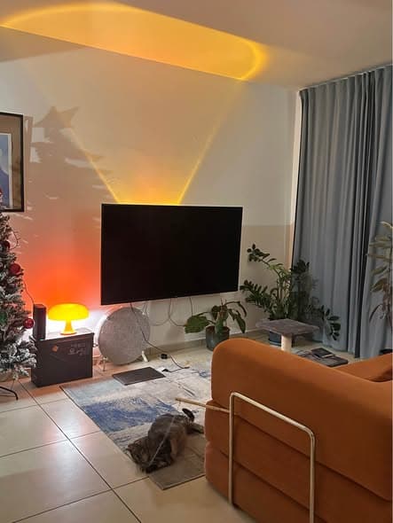 2 room rental in Jaffa