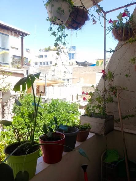 3 room rental in Florentin