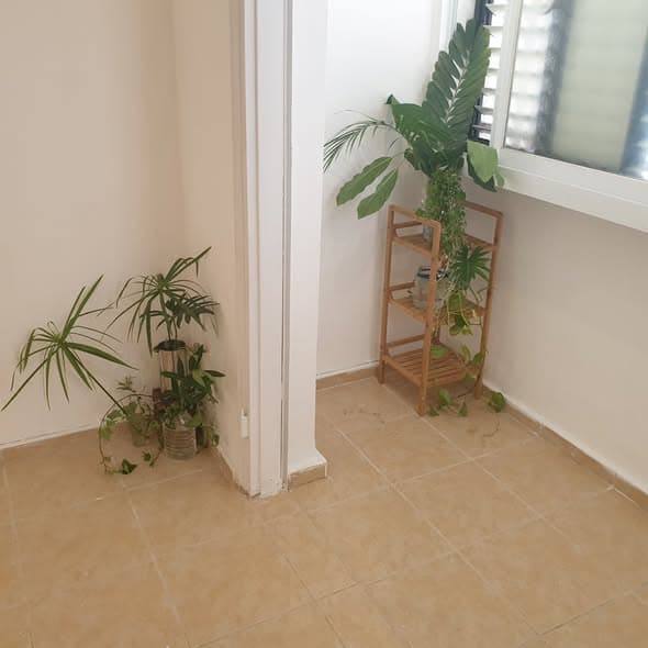1 room rental in Old North